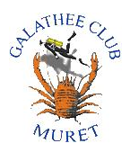 Galathee Club